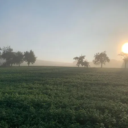 Erftal Apartman Hardheim